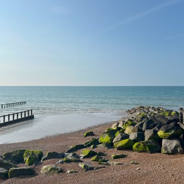 Sandy beach with mossy rocks and wooden groynes, calm sea, and clear blue sky on a sunny day.