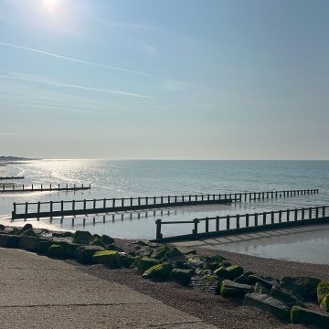 Calm sea view with wooden groynes, rocks with green moss, and sunlight reflecting on the water.